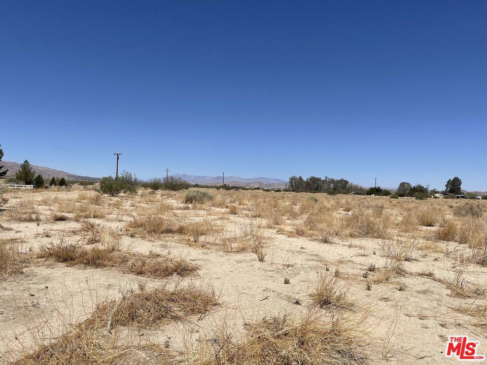Joshua Tree, CA 92252,0 Cobalt RD