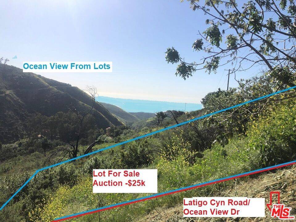 Malibu, CA 90265,4218 Latigo