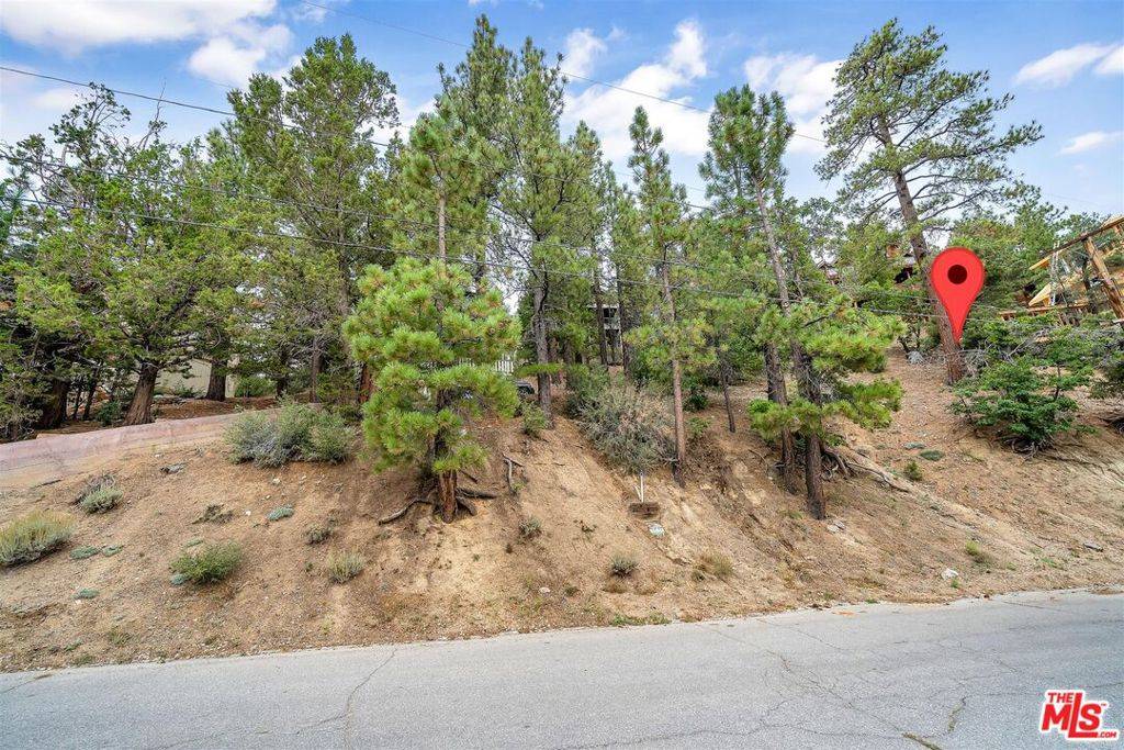 Big Bear, CA 92315,865 Menlo