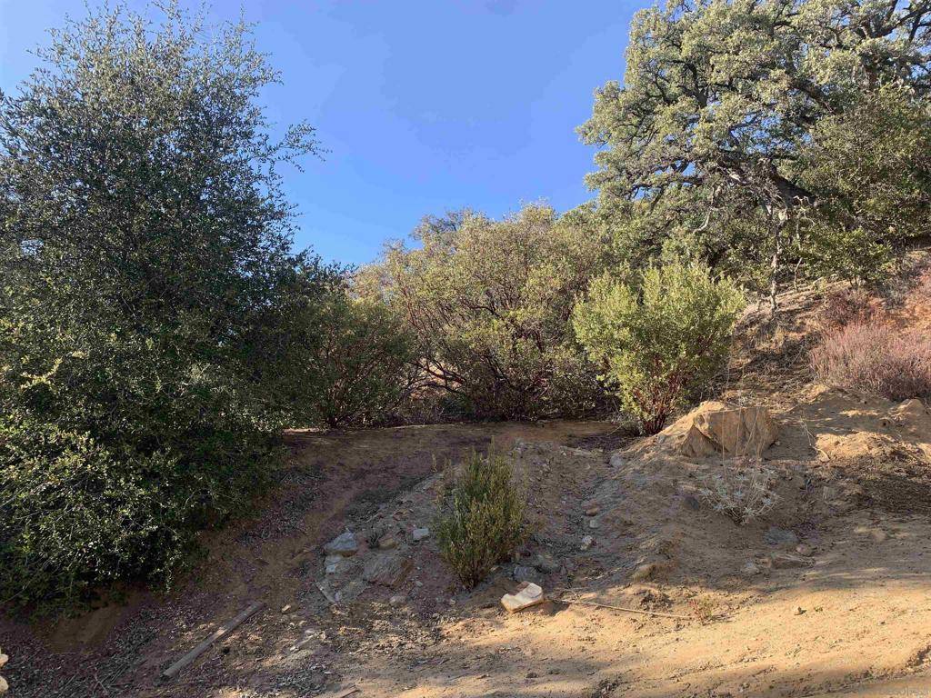 Julian, CA 92036,2708 Payson Dr