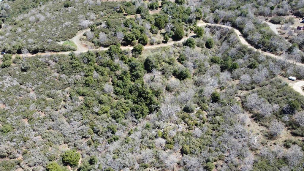 Julian, CA 92036,5253 Acorn Patch Road