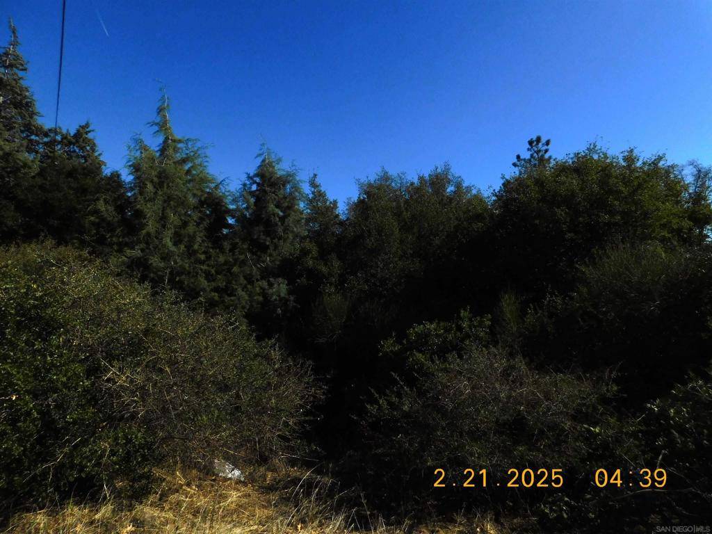 Julian, CA 92036,1700 Whispering Pines Dr.