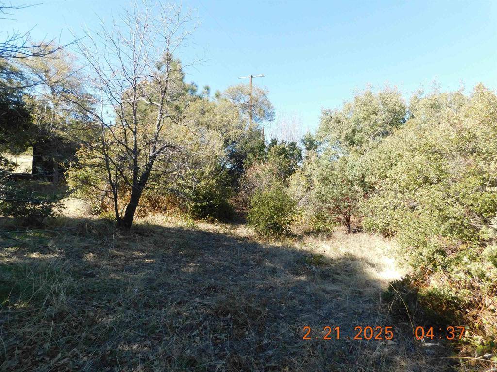 Julian, CA 92036,1700 Whispering Pines Dr.