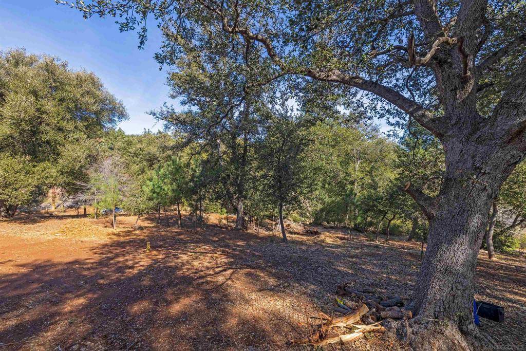 Julian, CA 92036,Frisius Dr