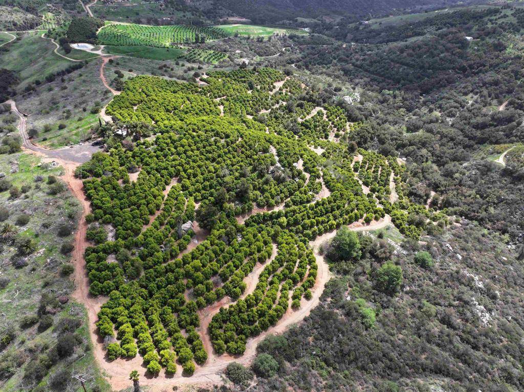 Valley Center, CA 92082,12474 Keys Creek Rd.