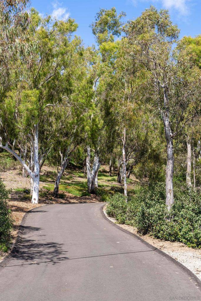 Rancho Santa Fe, CA 92067,16059 Puerta Del Sol