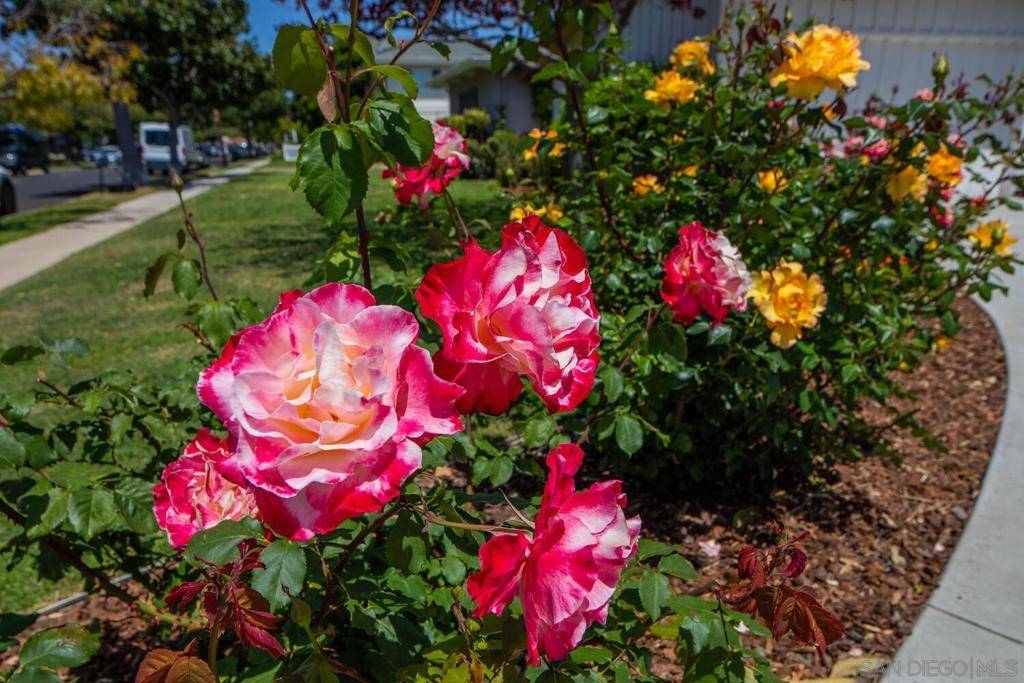Coronado, CA 92118,701 Balboa Avenue