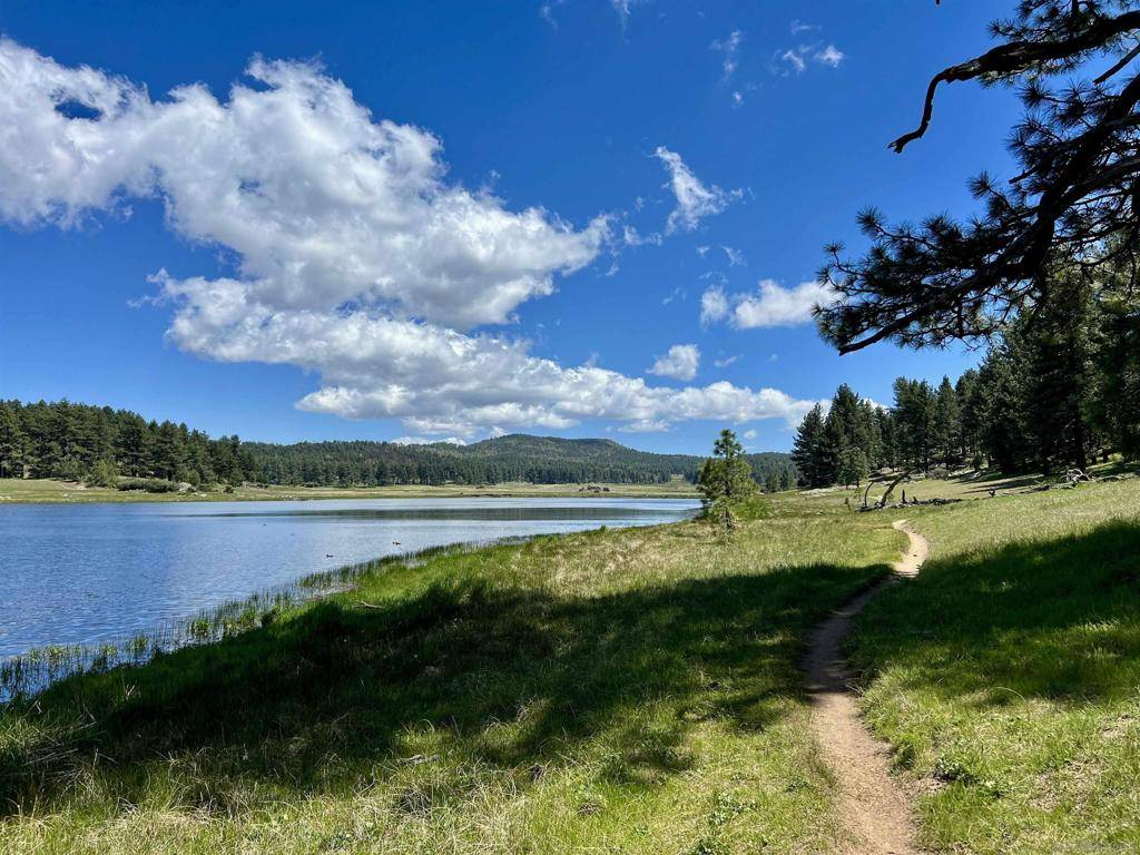 Julian, CA 92036,0 Highway 79