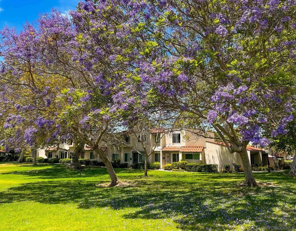 San Diego, CA 92111,2445 Tunica Cir