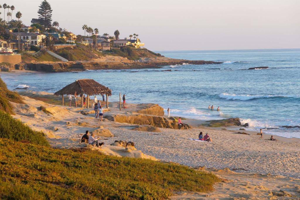 San Diego, CA 92037,464 Westbourne St