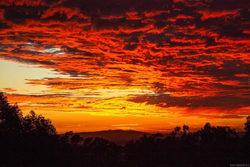 San Diego, CA 92131,10636 Birch Bluff Ave