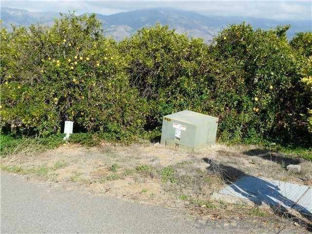 Valley Center, CA 92082,31782 Tracy Lyn Dr