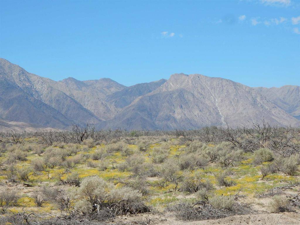 Borrego Springs, CA 92004,Yaqui Pass Rd