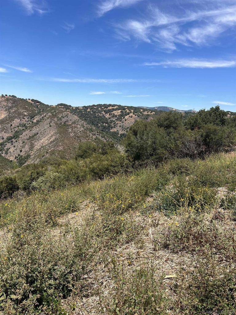 Julian, CA 92036,3885 Eagle Ridge