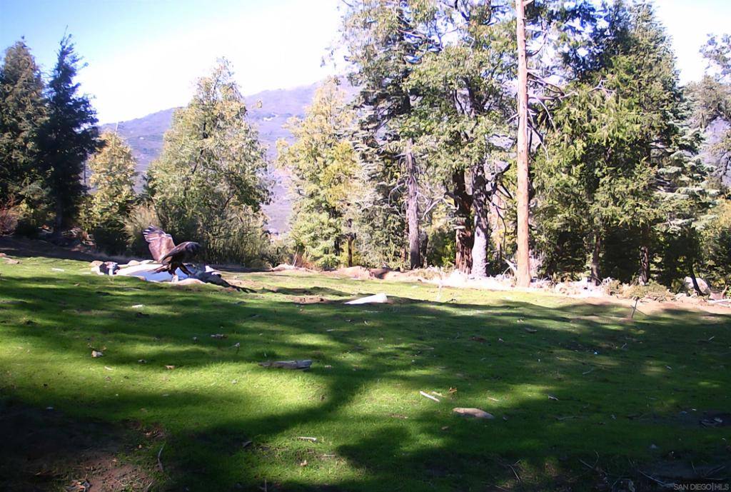 Palomar Mountain, CA 92060,Conifer Lane