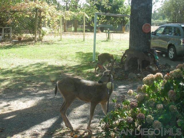 Oroville, CA 95965,1206 Middlehoff Ln