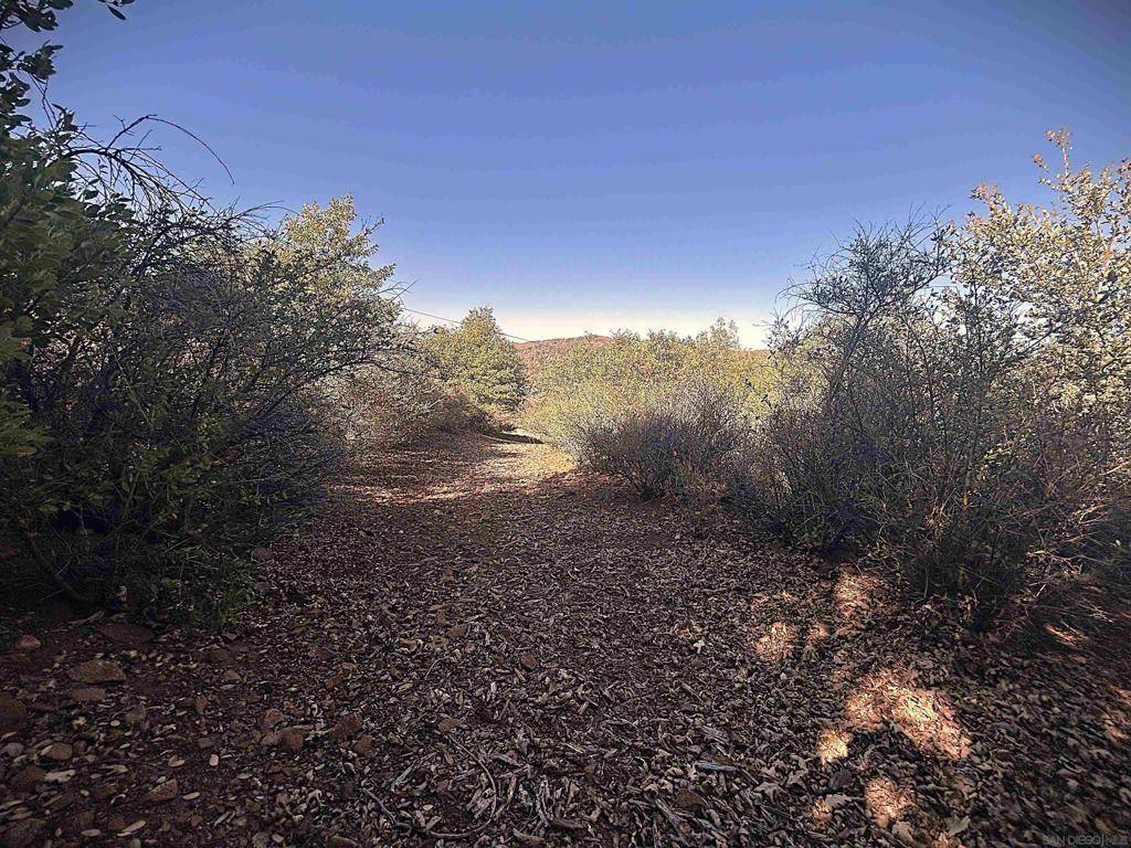Julian, CA 92036,0 Oak Way
