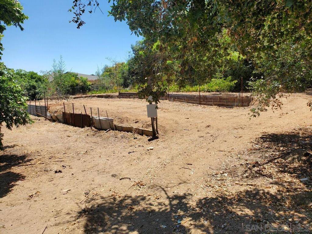 Vista, CA 92083,326 Plumosa