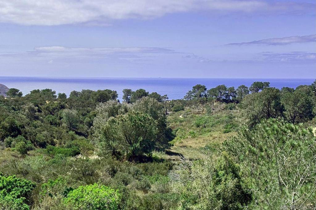 Del Mar, CA 92014,13621 Mercado Dr