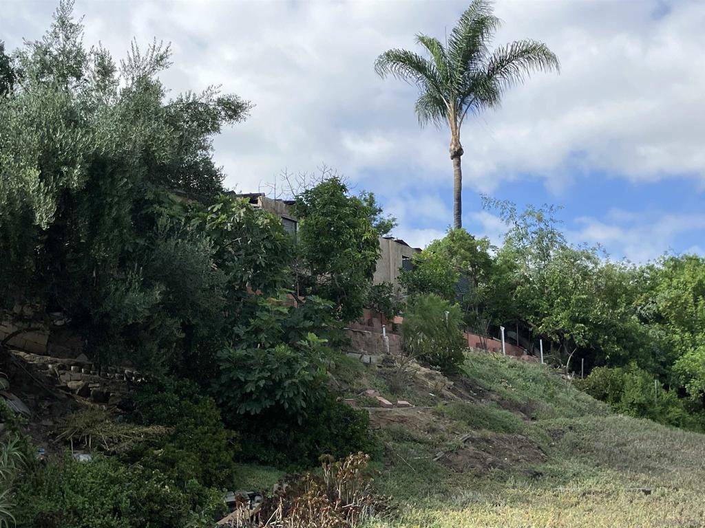 San Diego, CA 92115,4203 Spartan Cir