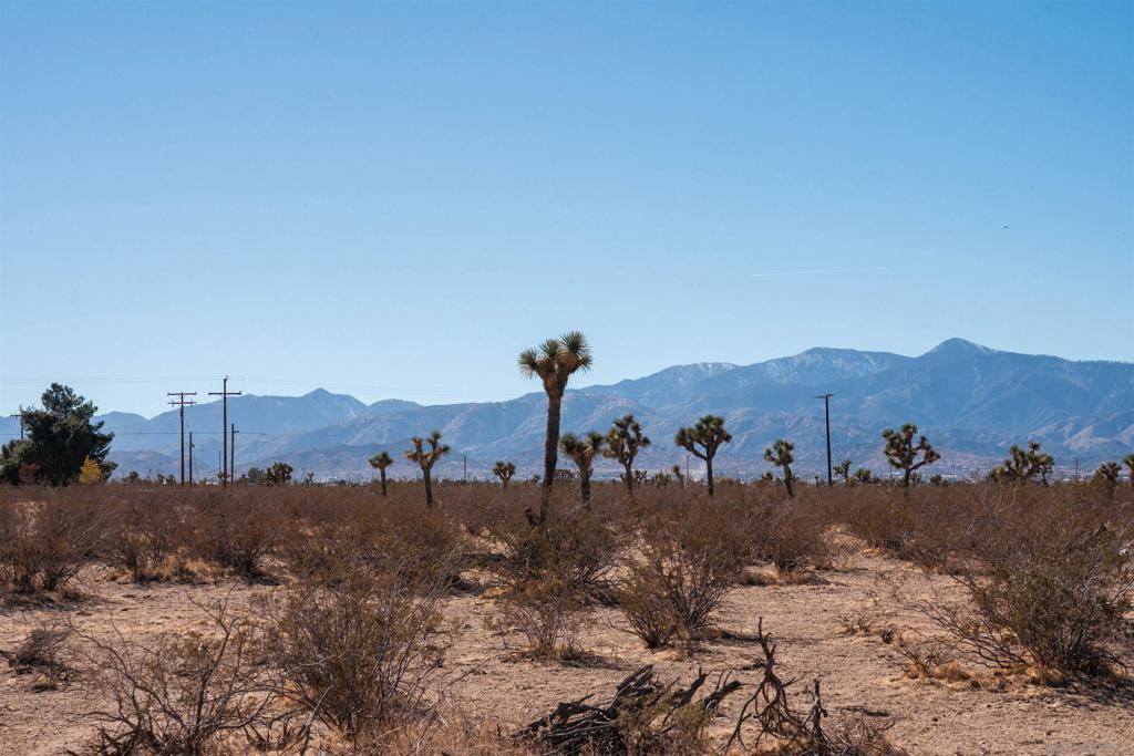 Phelan, CA 92371,0 Marco Road