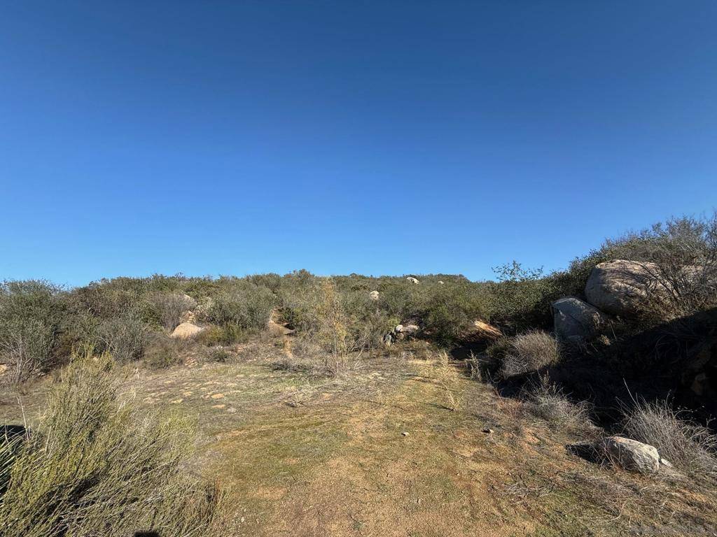 Lakeside, CA 92040,12494 Buena Vida Rd