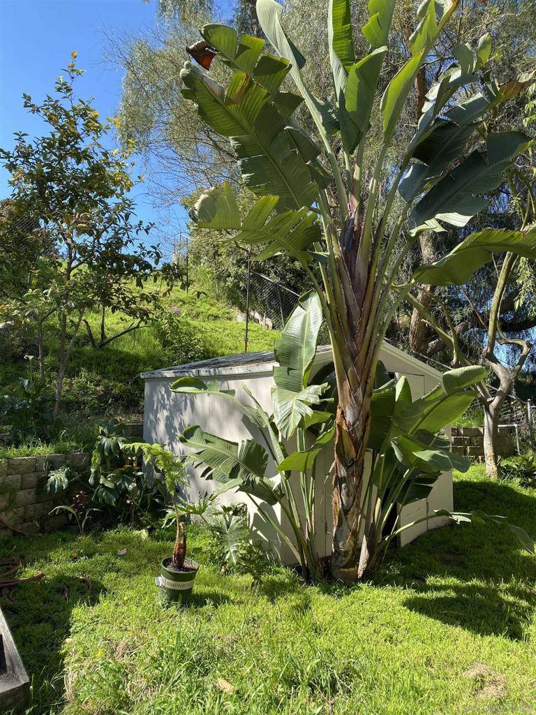 Oceanside, CA 92057,5015 Macario Dr