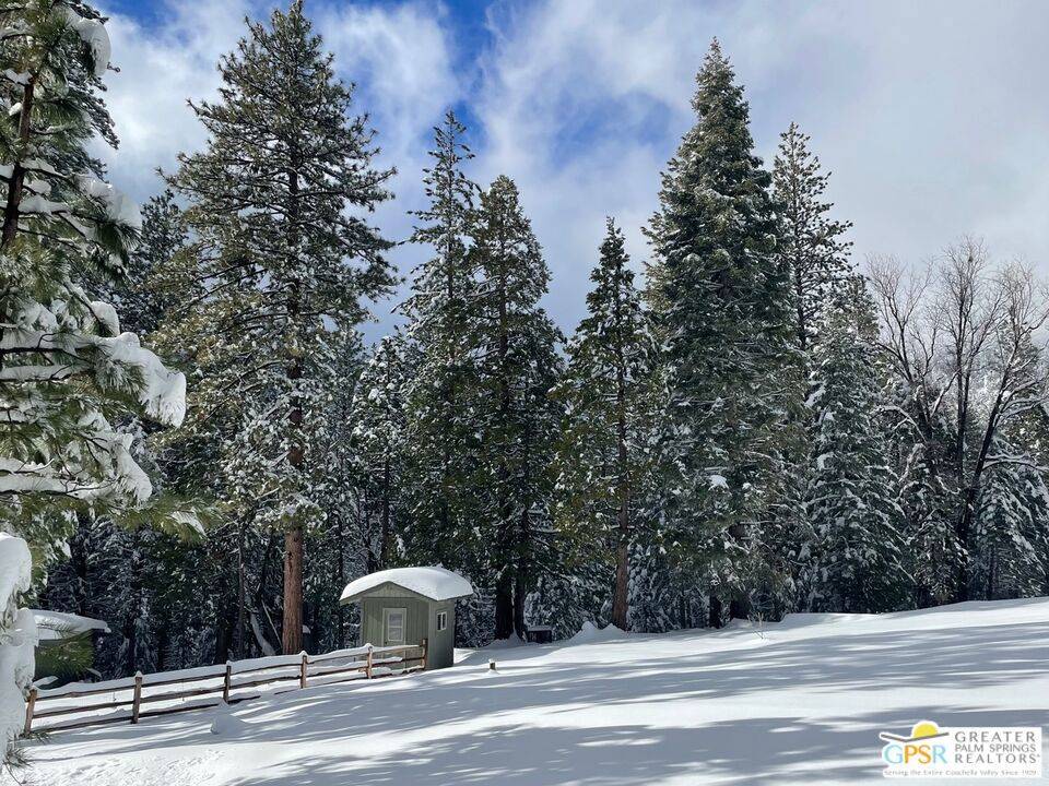 Idyllwild, CA 92549,53150 Nf-4s02