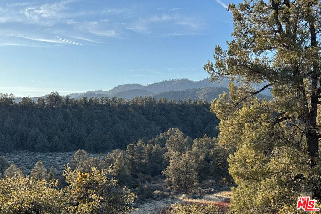 Frazier Park, CA 93225,0 Lockwood Valley RD