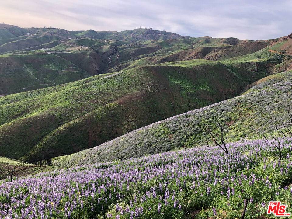 Malibu, CA 90265,3900 Latigo Canyon RD