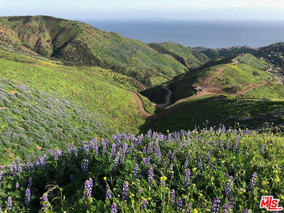 Malibu, CA 90265,3900 Latigo Canyon RD