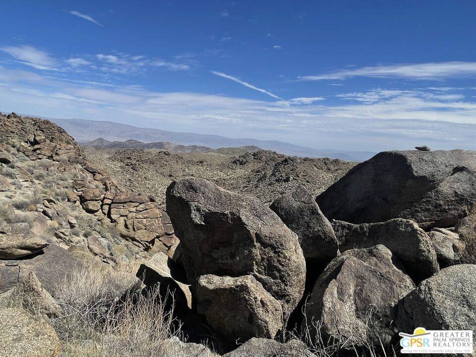 Mountain Center, CA 92561,0 Desert Calico