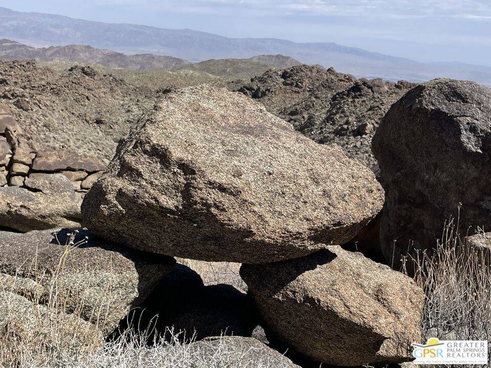 Mountain Center, CA 92561,0 Desert Calico