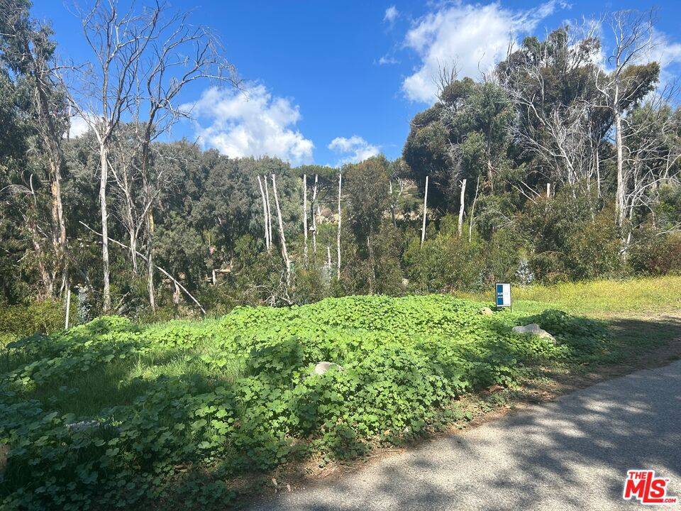 Malibu, CA 90265,31882 Sea Level DR