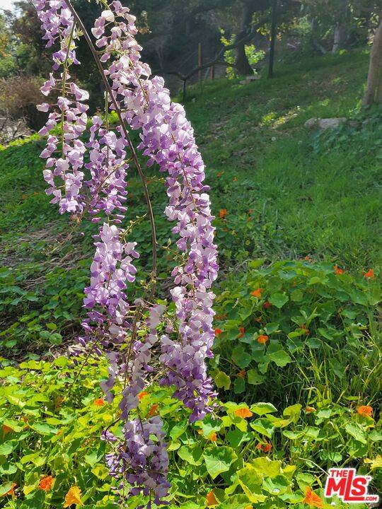 Pacific Palisades, CA 90272,919 Rivas Canyon RD