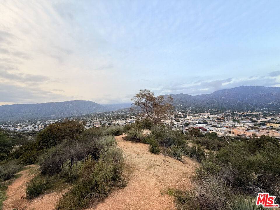 Tujunga, CA 91042,9739 N Estaban Way