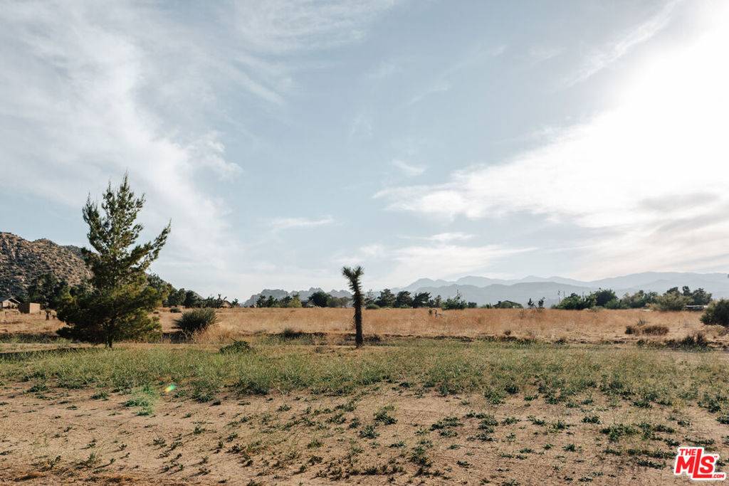 Pioneertown, CA 92268,5433 William S Hart RD