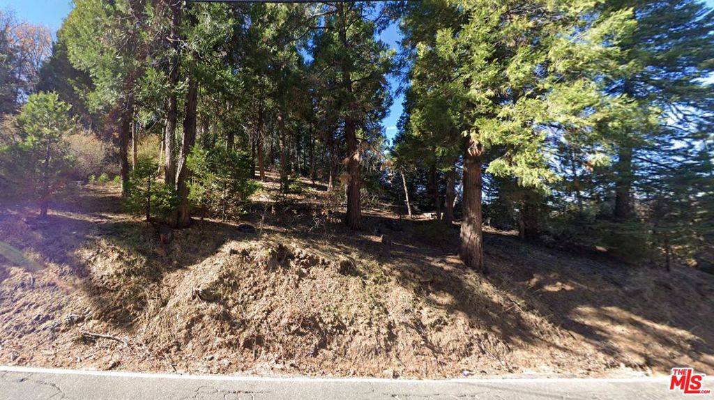 Cedar Glen, CA 92321,0 Ponderosa DR
