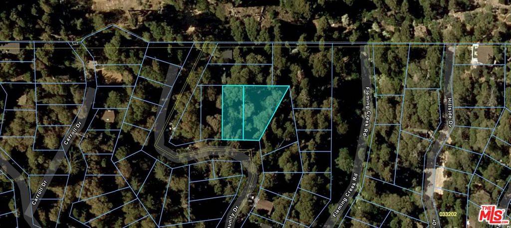 Lake Arrowhead, CA 92352,0 Community DR