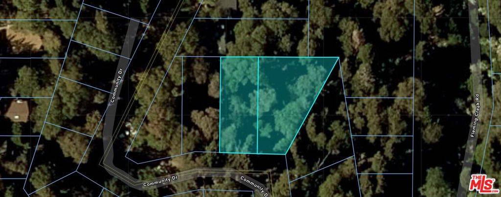 Lake Arrowhead, CA 92352,0 Community DR