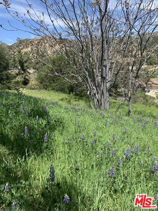 Castaic, CA 91384,30846 San Martinez Rd
