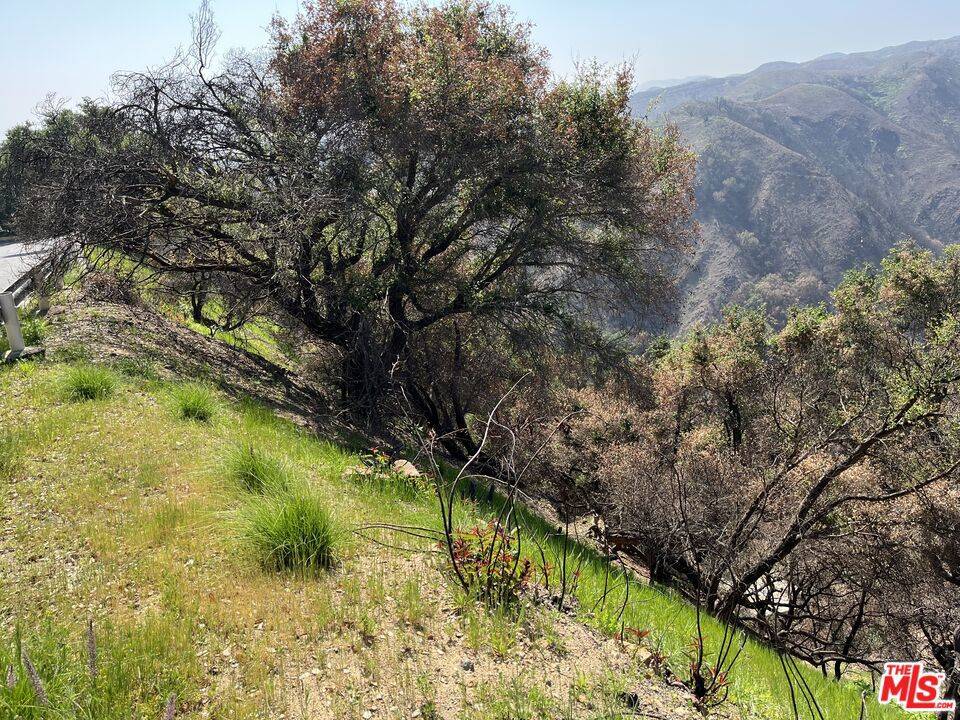 Pacific Palisades, CA 90272,1785 Alta Mura Rd RD