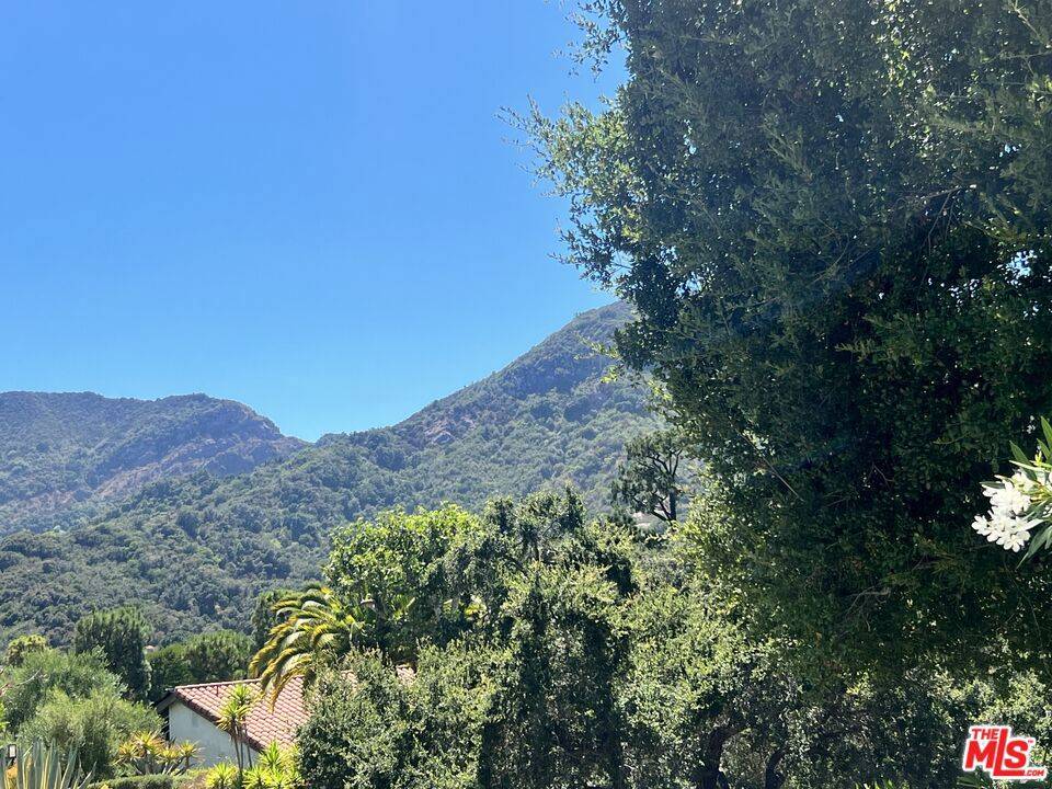 Pacific Palisades, CA 90272,1629 Michael LN