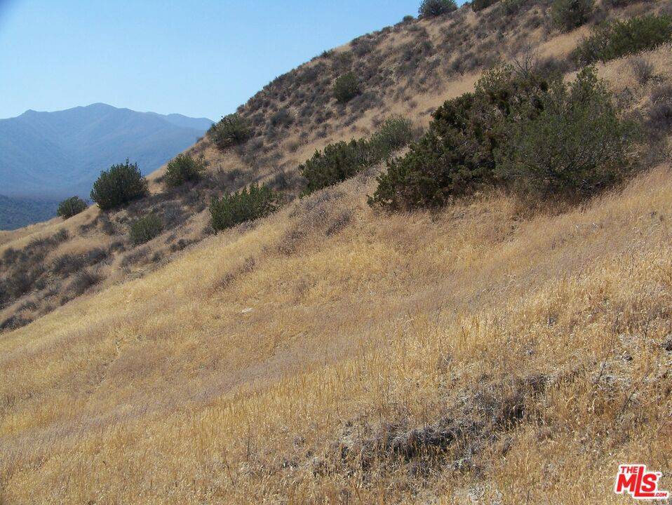 New Cuyama, CA 93254,0 Apn 147-080-005
