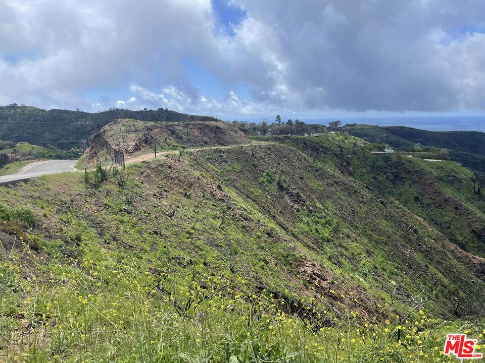 Topanga, CA 90290,2825 Tuna Canyon RD