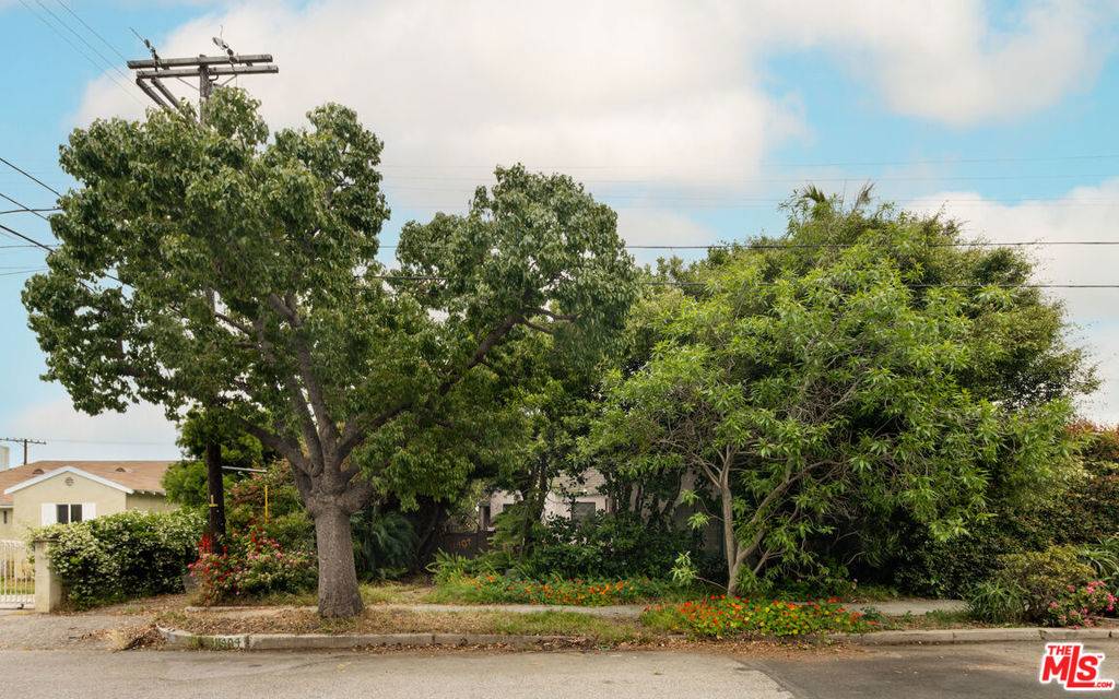 Los Angeles, CA 90066,11404 Biona DR