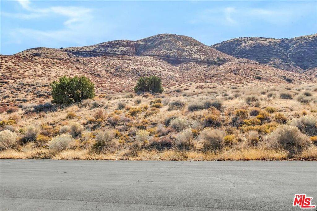 Palmdale, CA 93551,0 Lakeview DR