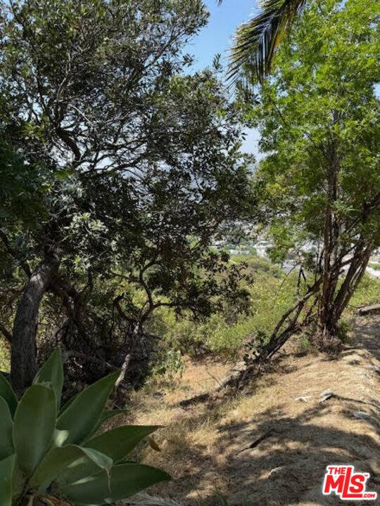 Los Angeles, CA 90065,0 West Avenue 37