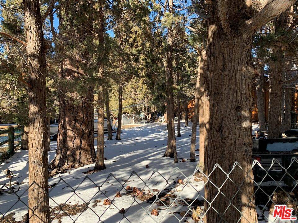 Big Bear City, CA 92314,0 E Mountain View BLVD