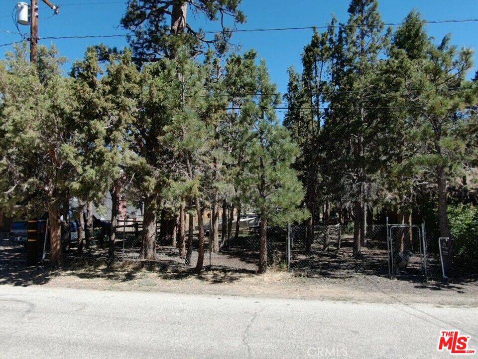 Big Bear City, CA 92314,0 E Mountain View BLVD